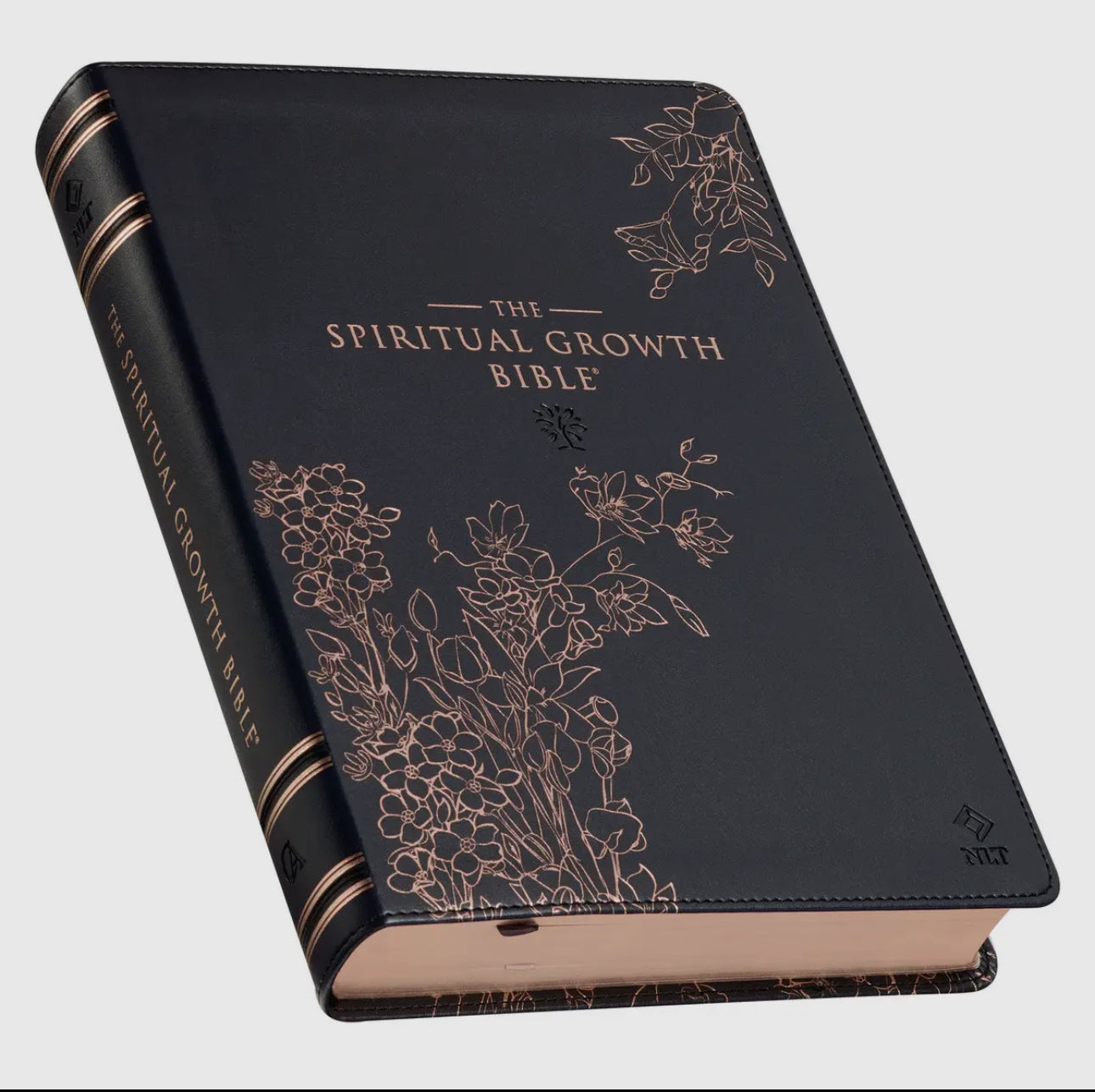 Bibles